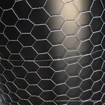 Hexagonal Wire Netting